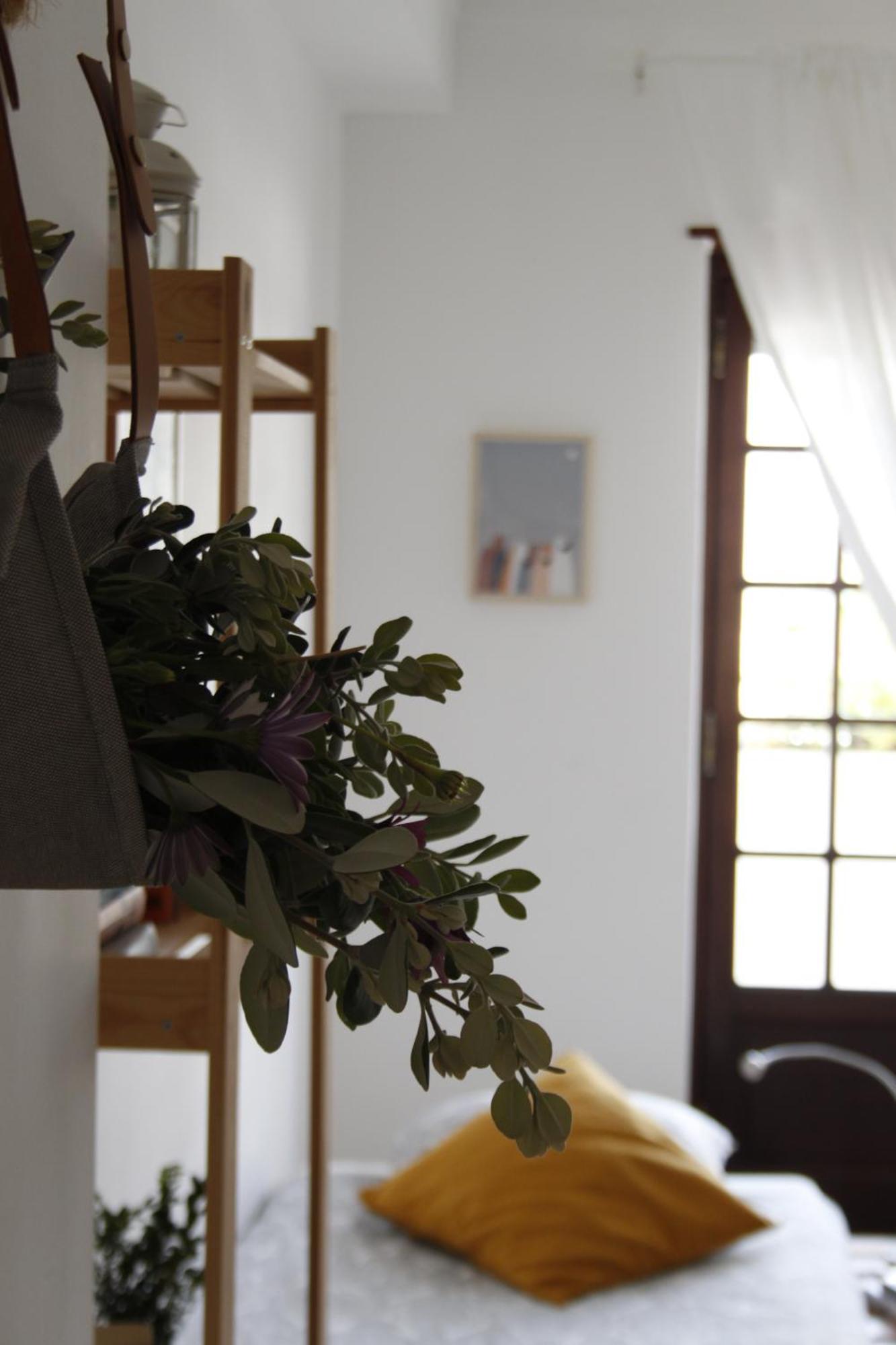 Boa Onda Guesthouse Atouguia Da Baleia Habitación foto
